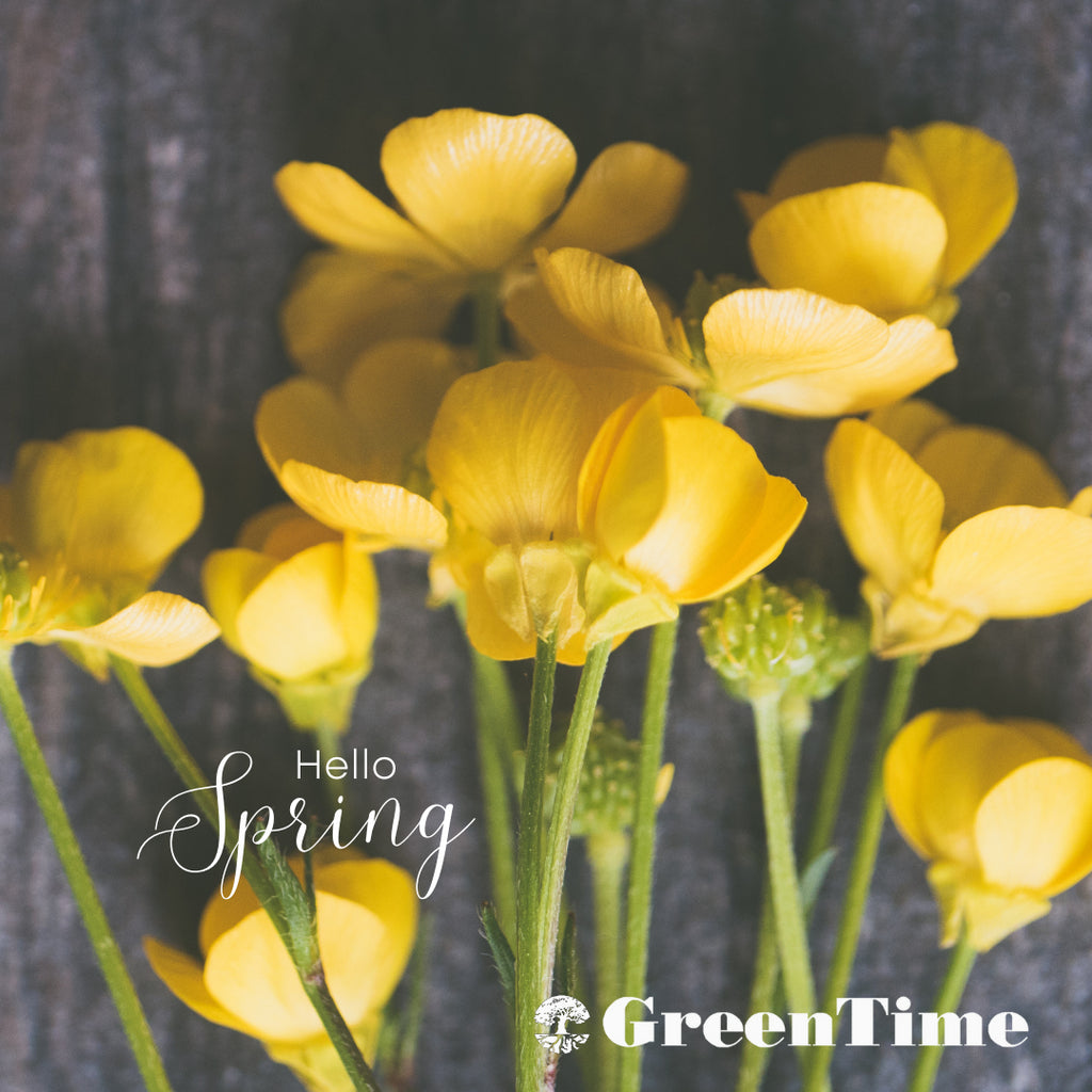 2024年4月~5月 催事販売スケジュール